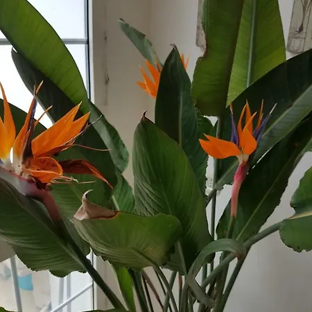 La Dimora Di Clary Σπίτι διακοπών