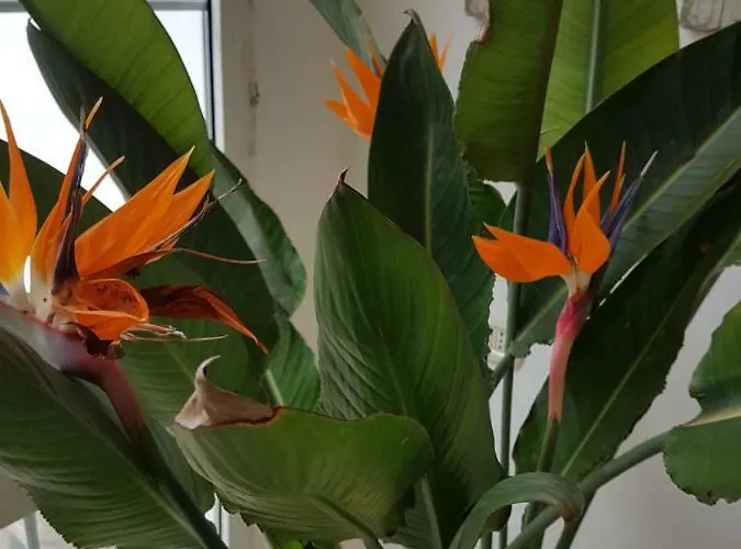 La Dimora Di Clary Дом отдыха